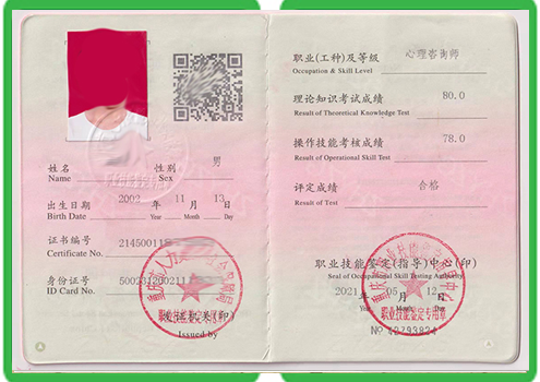 职业技能等级证书